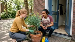 Ruda bij de voordeur in bloei: wat feng shui zegt (en wat er echt gebeurt)