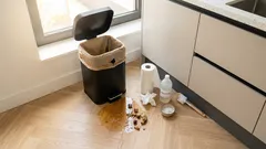 Witte wormpjes in de keuken? Deze 6 plekken verraden vaak de bron (en zo voorkom je dat het terugkomt)