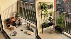 Vertical tuinieren op je balkon: meer groen in de hoogte (zonder dat het rommelig wordt)